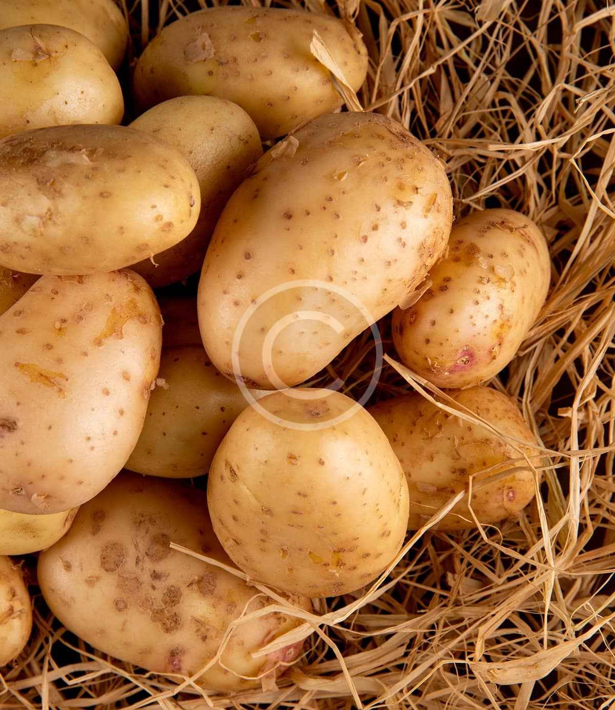 Golden baby potatoes - Image 2